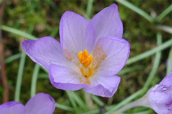 彻底放下一段感情的句子