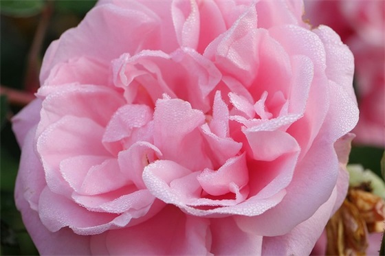 抖音最火句子最新搞笑 容易上热门的文案