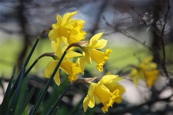 关于做微商励志的句子95句