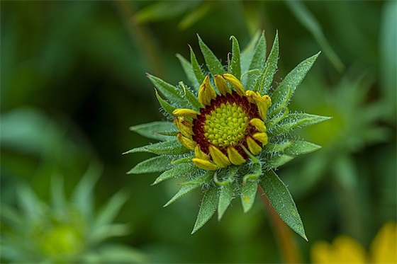 激励女人靠自己的句子 女人拼搏努力的句子