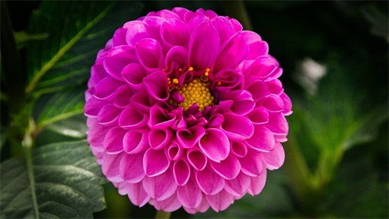 励志打动人心的句子