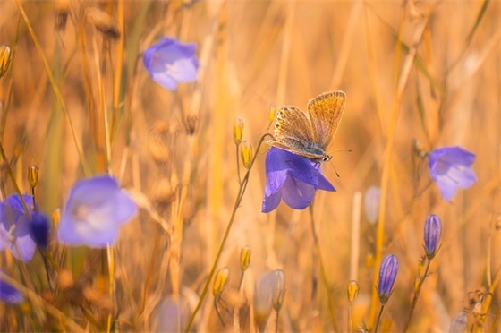 有关大学的爱情句子 最伤感的爱情句子