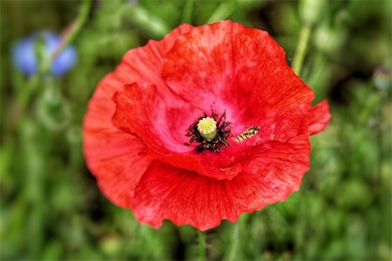 爱情甜蜜想念的句子