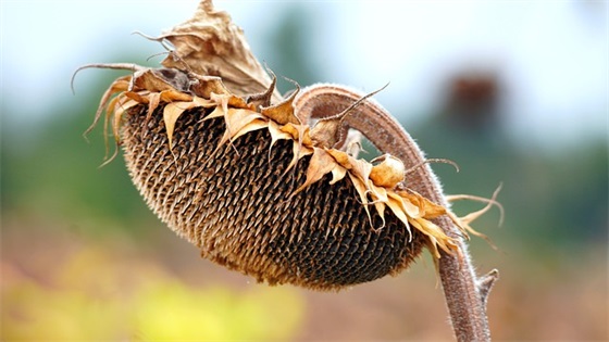 吃货微信热门的搞笑句子