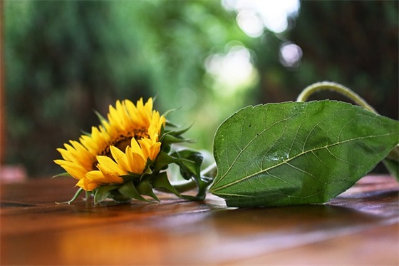 形容美食诱人的句子 夸食物美味的句子