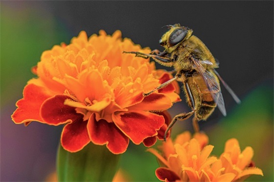 表示对比的句子有哪些？