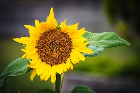 简洁的情感励志句子 兄弟情感励志句子