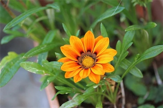 辜负一个人的感情句子 失去信任的感情多可怕