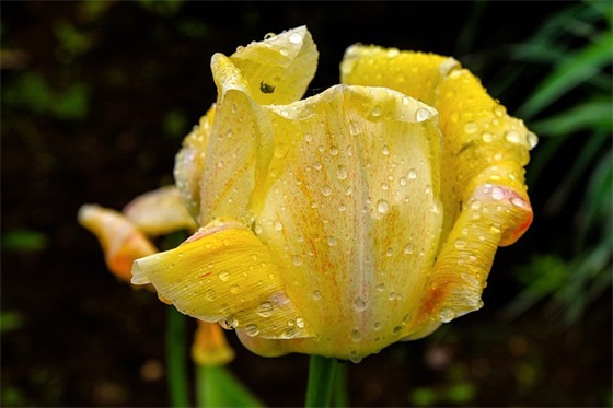 文艺励志的句子