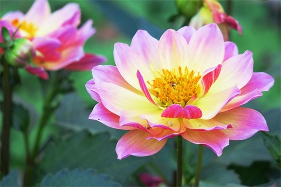 夜深了的句子 夜深了的简单句子