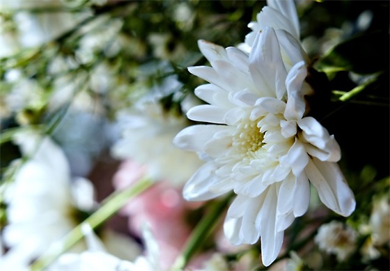 爸妈寄语怎么写幼儿园-26句