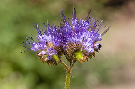 小学毕业典礼教师寄语一句话-23句