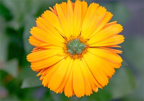 爸爸妈妈寄语幼儿园成长档案-23句