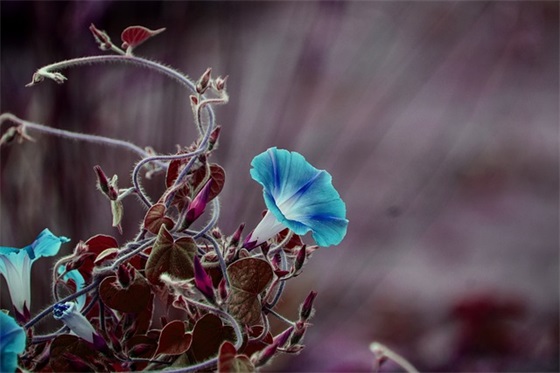 父母寄语中考-27句