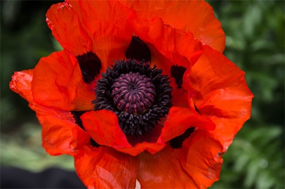 幼儿园幼师寄语-24句