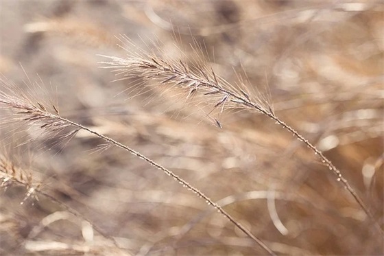 高三数学老师特色寄语-22句