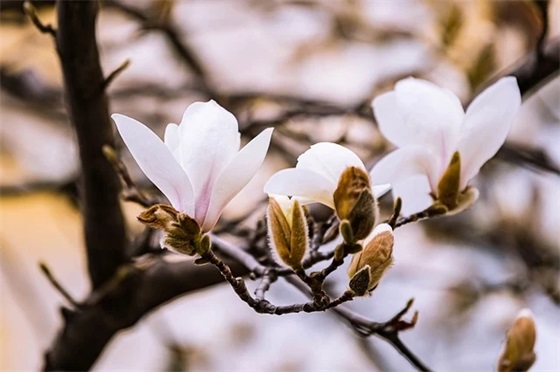 高考励志寄语八个字-51句