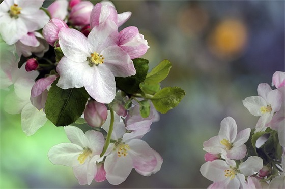 毕业对同学的寄语-24句