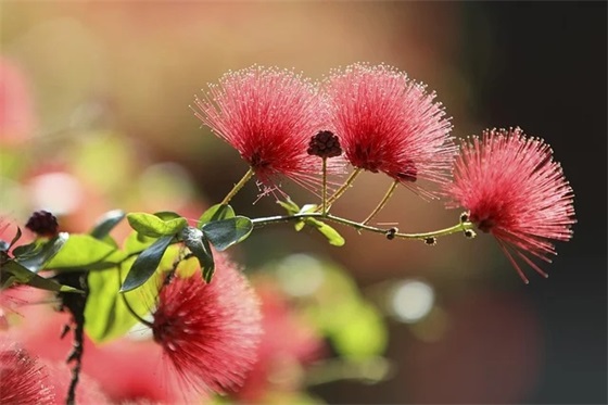 写给四年级孩子的寄语-22句