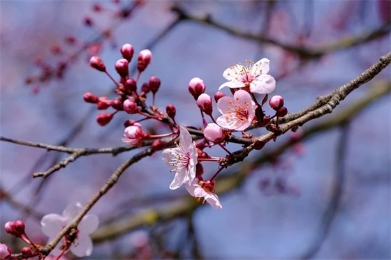 毕业哭到爆的句子 毕业留言的神仙句子