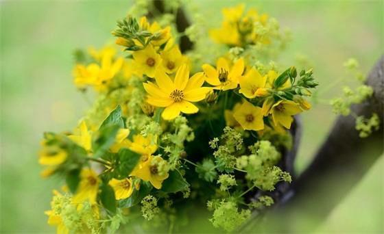 父母表达对孩子的爱句子