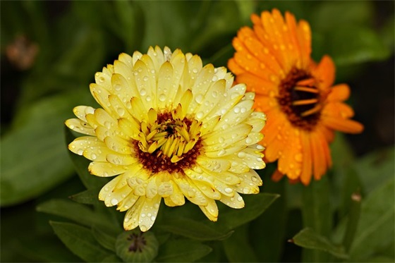 安慰心里难受的句子