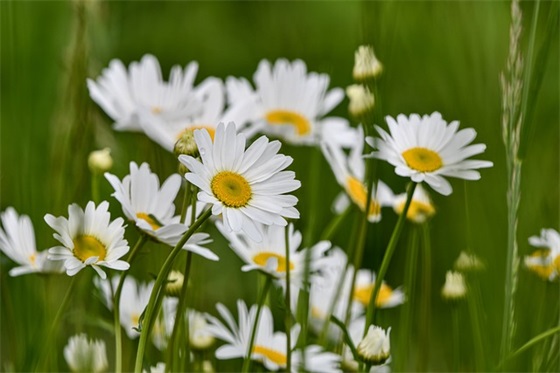 服务行业励志的句子