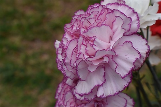 孤独的短句五个字(表现伤感孤独的由五个字组成的句子)