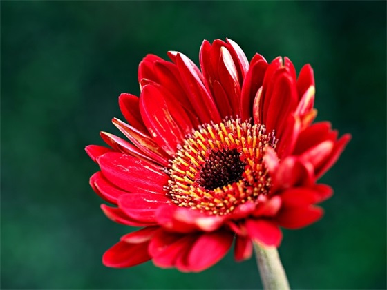 2025年愿孩子未来可期的句子