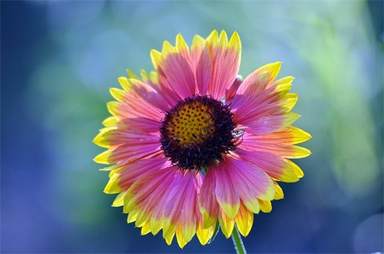 不在相信爱情的句子43句