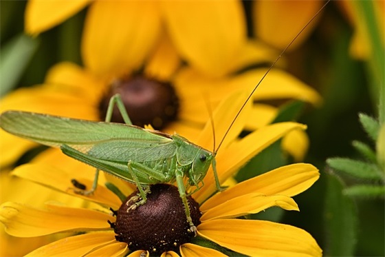 逗人开心的幽默句子 幽默风趣的句子