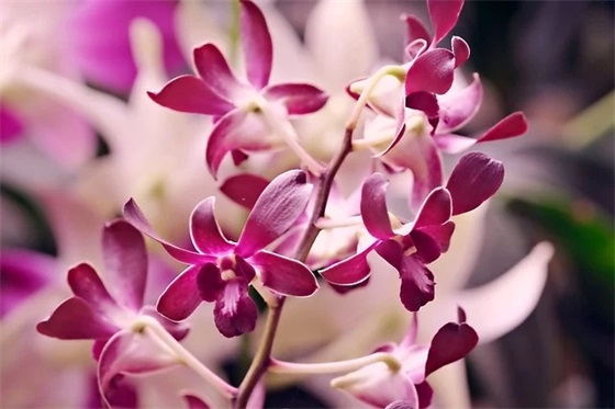 毕业季唯美留言37条