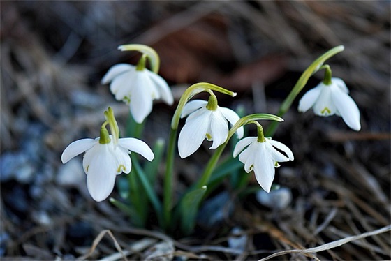 姚若龙经典歌词书25条