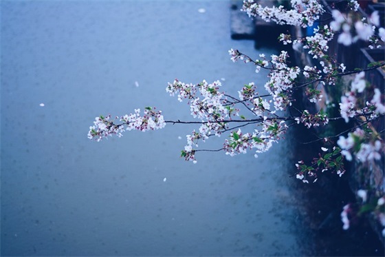 服装行业网络营销策略