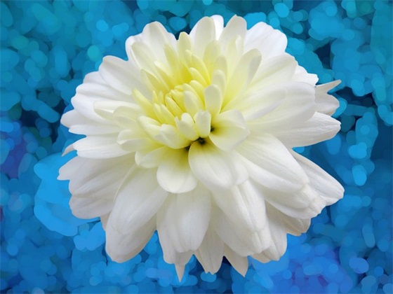 环境安全管理方案