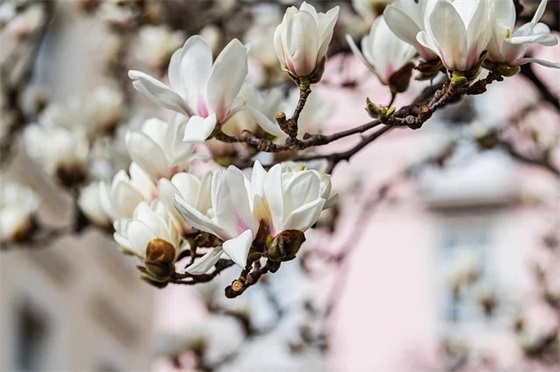 个人防范安全预案