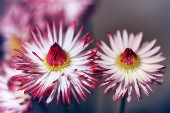 执行摘要范文(精选十五篇)