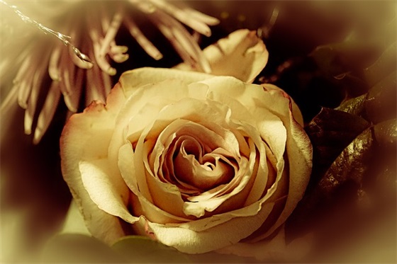 工伤事故经过范文(通用十六篇)