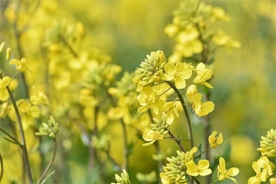 个股分析范文(通用十四篇)