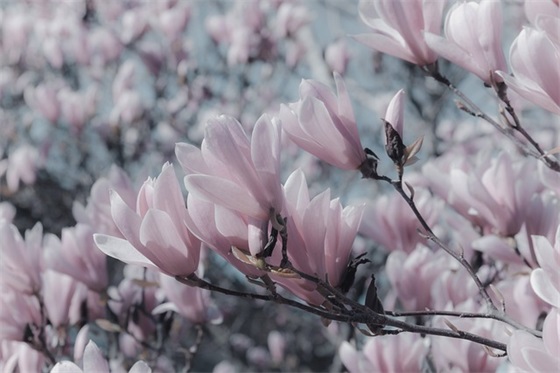 英文信件范文中文推荐58篇