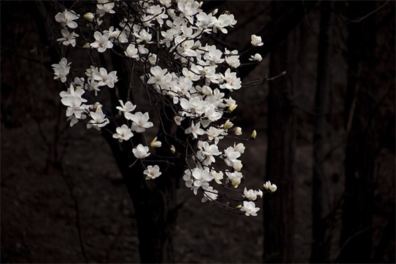 英语作文各类信件模板范文通用29篇