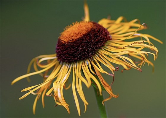 托福满分作文范文(推荐二十篇)