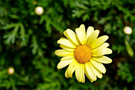 高级工程师论文范文(推荐十六篇)