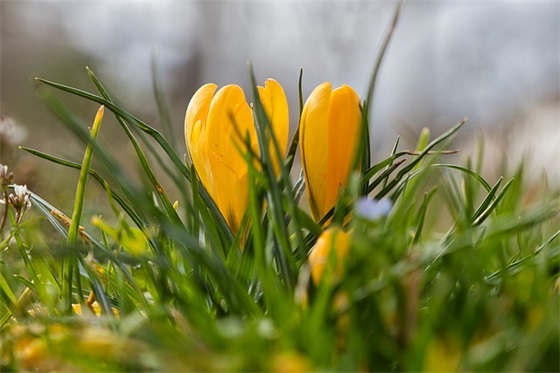 在培训班上的总结讲话（通用6篇）