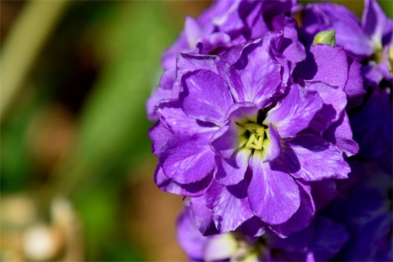 公司季度财务分析报告范文