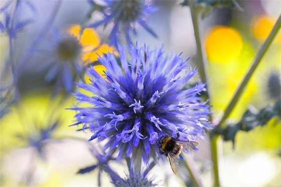 小学数学四年级教学质量分析报告（精选8篇）