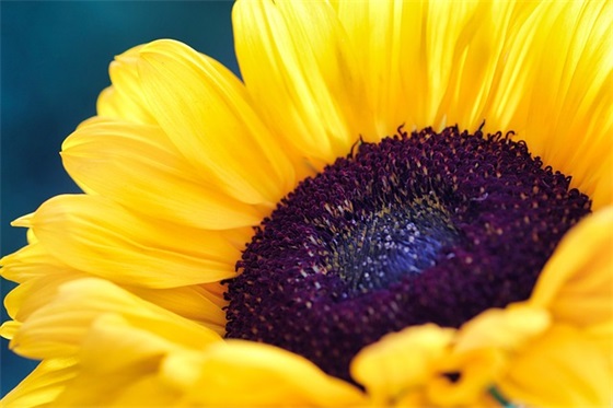 海边旅游的心情短语(42句)