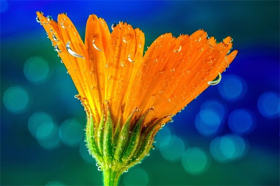 18岁成人礼配图小众文案52条