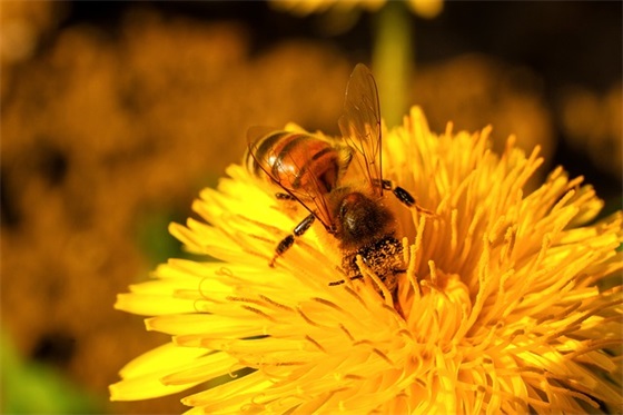 元宵节红包文案(精选110句)