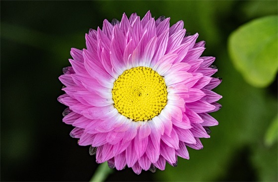 空调遥控器丢了要怎么办